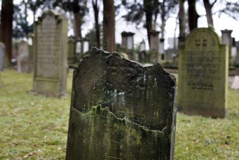 Julie David